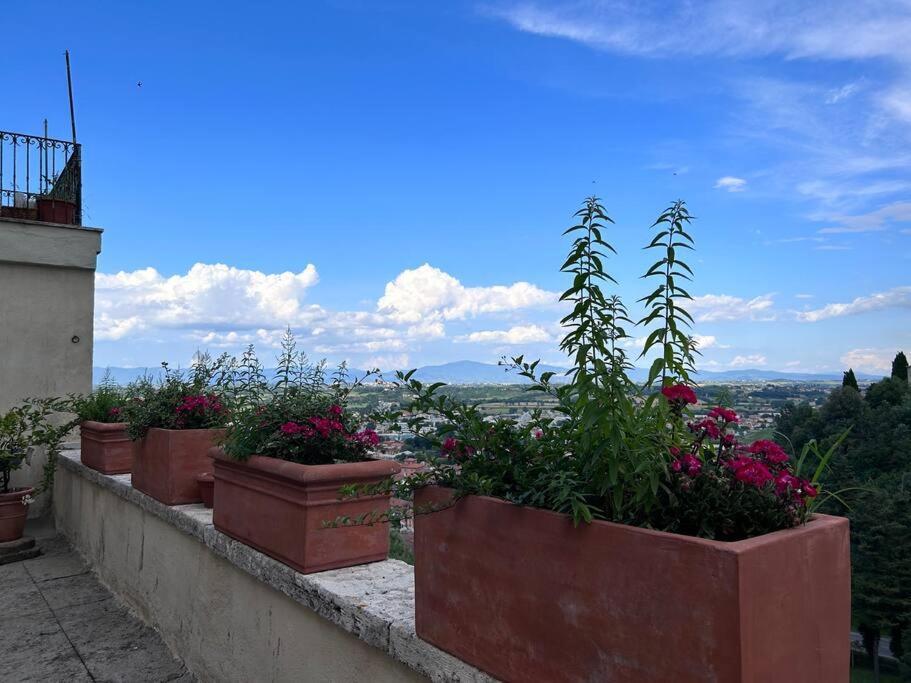 シナルンガLa Terrazza Di Ciro Pinsutiアパートメント エクステリア 写真
